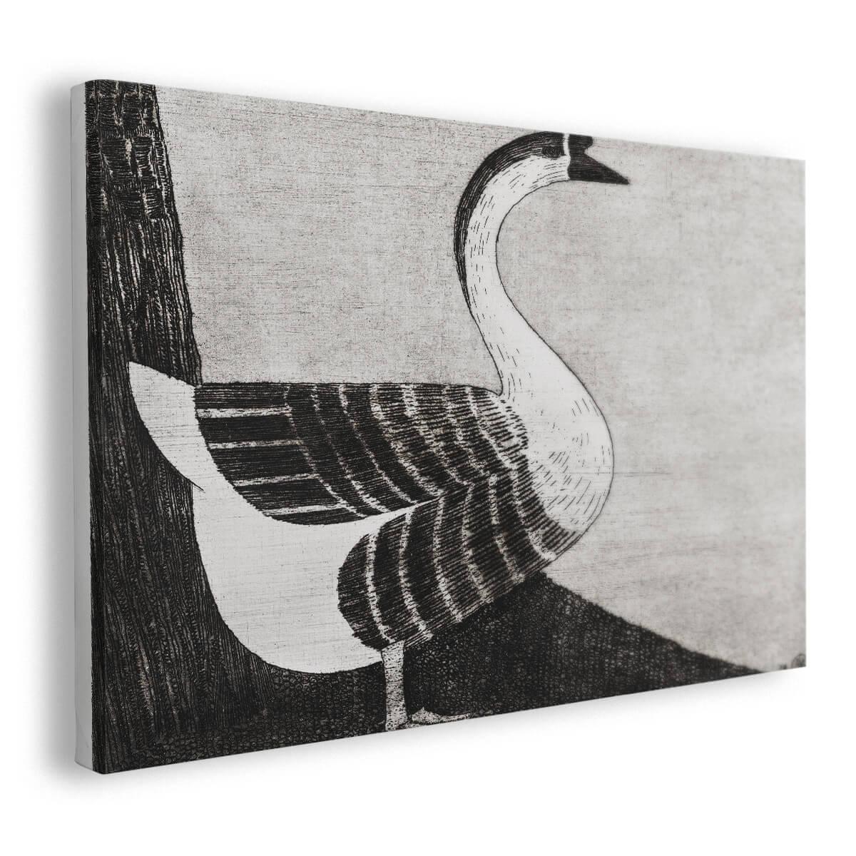 Tableau Grâce Cygne