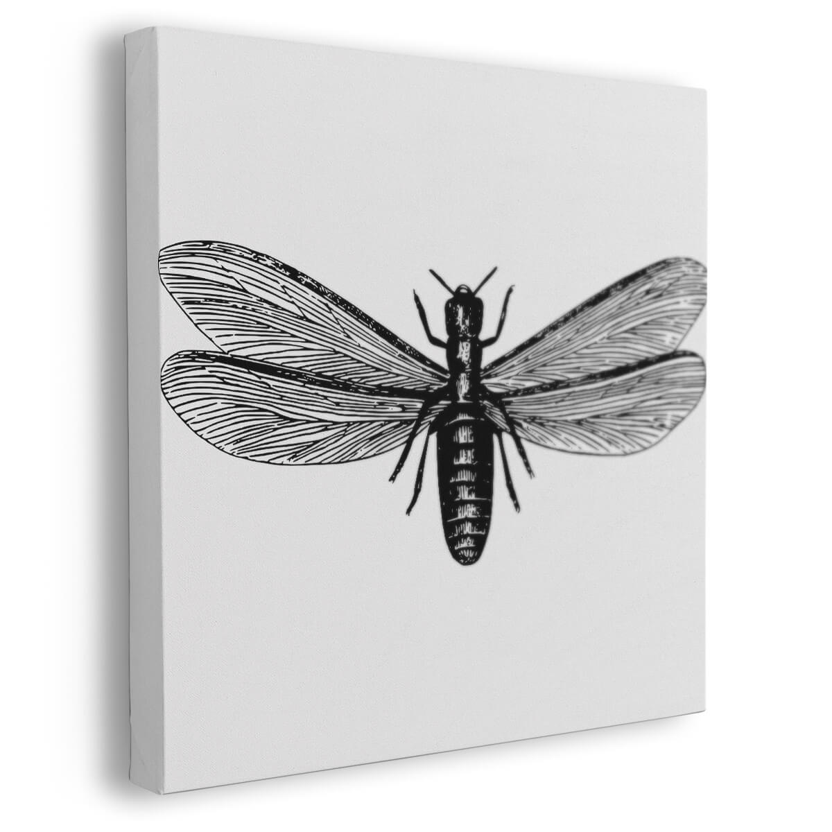 Tableau Insecte Noir et Blanc