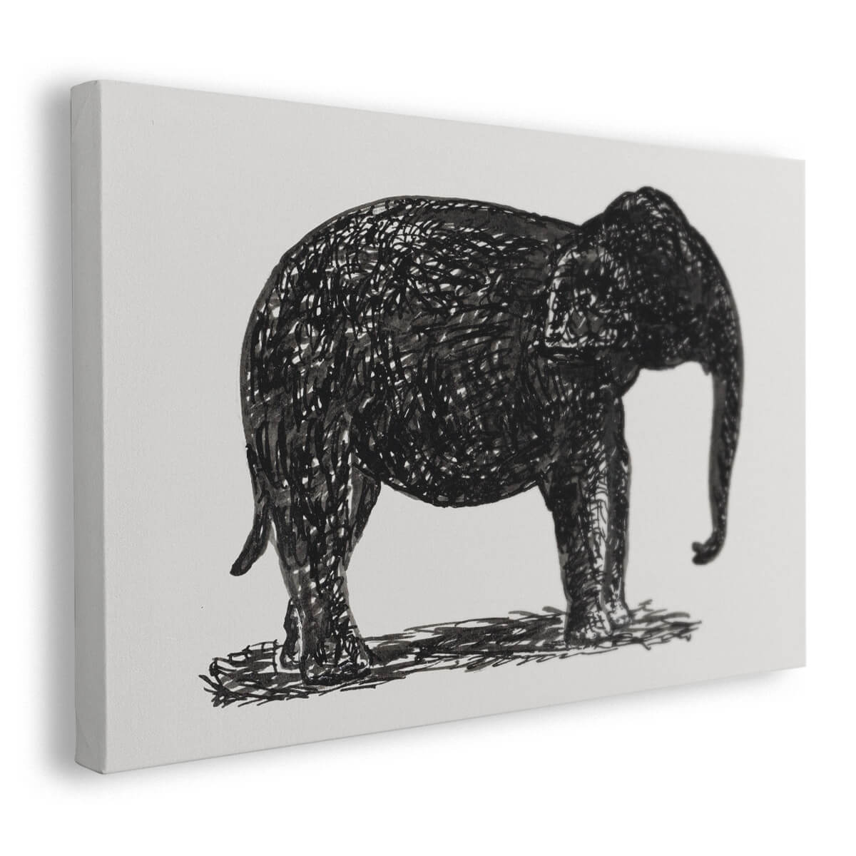 Tableau Noir et Blanc Elephant