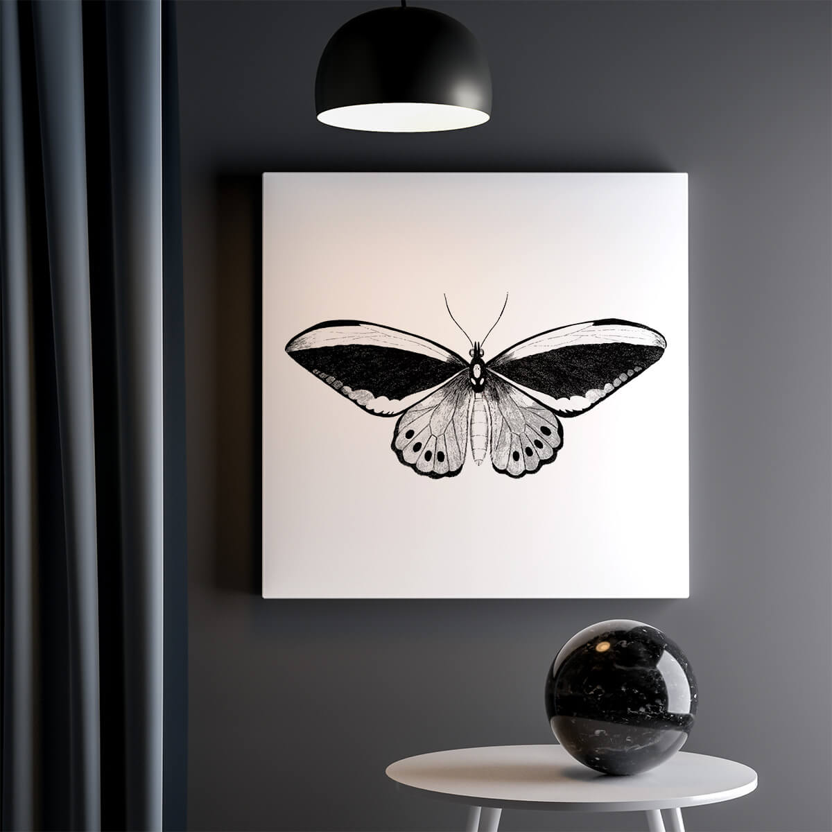 Tableau Noir et Blanc Papillon 2